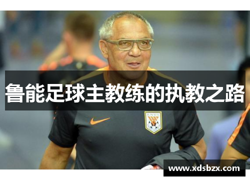 鲁能足球主教练的执教之路