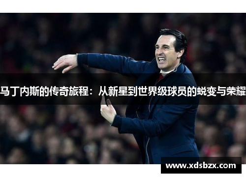 马丁内斯的传奇旅程：从新星到世界级球员的蜕变与荣耀